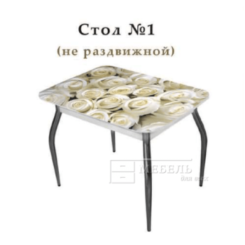 Стол №1 не раздвижной