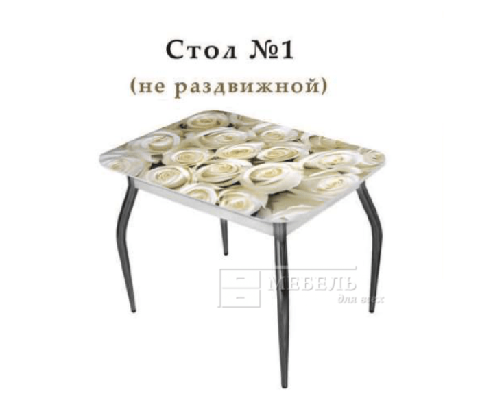 Стол №1 не раздвижной