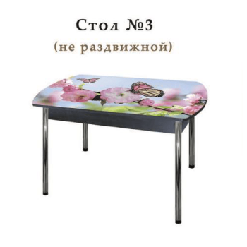 Стол №3 не раздвижной